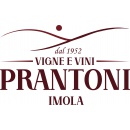 Logo PRANTONI VINI