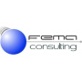 Logo Fema Consulting S.n.c. di Bruschi Marco e Focacetti Federico