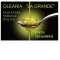Logo social dell'attività Olearia La Grande