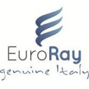 Logo Euro Ray Incoming 