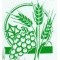 Logo social dell'attività F.lli nigro cereali
