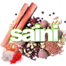 Logo dell'attività SAINI