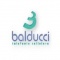 Logo social dell'attività Balducci S.r.l