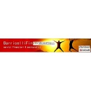 Logo BarricelliFin - Prestiti Mutui Assicurazioni