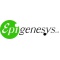 Logo social dell'attività Epigenesys Srl