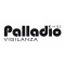 Logo social dell'attività Palladio Vigilanza srl