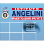 Logo AIP - ANGELINI INVESTIGAZIONI PRIVATE