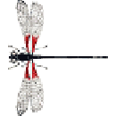 Logo Esse Disinfestazioni  cell.392 48 93 800