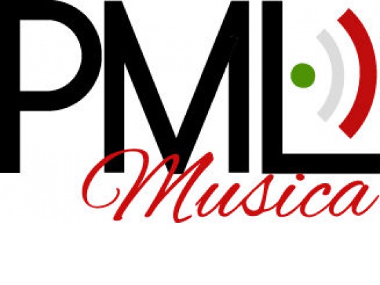 www.pml-strumentimusicali.it...