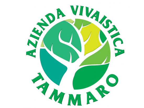 L' Azienda Vivaistica Tammaro realizza e vende pia...