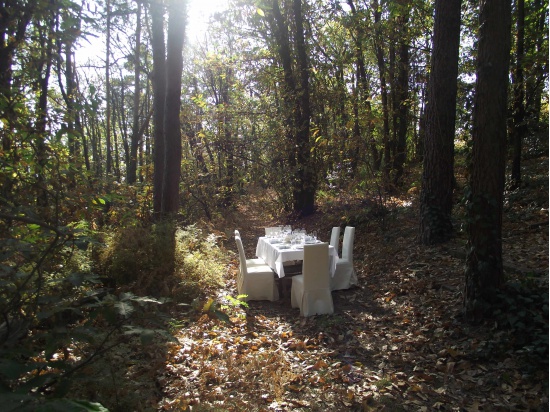 Cooking classes and Lunch in the wood...