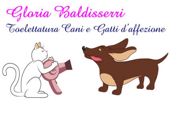 Tolettatura Cani e Gatti d'affezione Gloria Baldis...