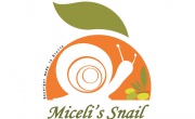 Miceli's Snail