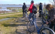 Tour in bicicletta nella laguna di Venezia | Venezia vive