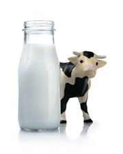 Relazione tra consumo di latte di mucca e Sclerosi Multipla...forse colpa della Butirrofilina del latte molto simile alla Mog
