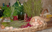 PER I CURIOSI DI NATURA e GASTRONOMIA  Festa degli asparagi 
