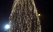 Il gigantesco Albero di Natale del gruppo Fami 