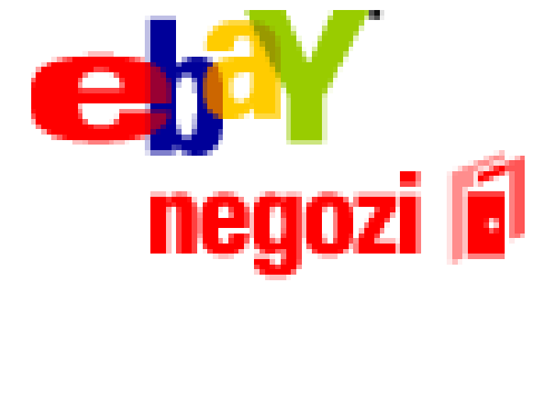 Promo Ebay mese Ottobre Novembre 2013