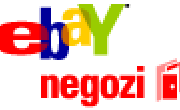 Promo Ebay mese Ottobre Novembre 2013