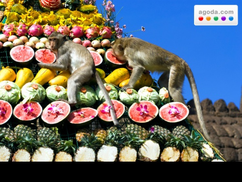 Festival delle Scimmie di Lopburi, offerte per gli hotel della zona da Agoda.com