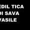Vasile  Sava