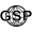 Logo mini utente global service di pironi massimo piero GSP